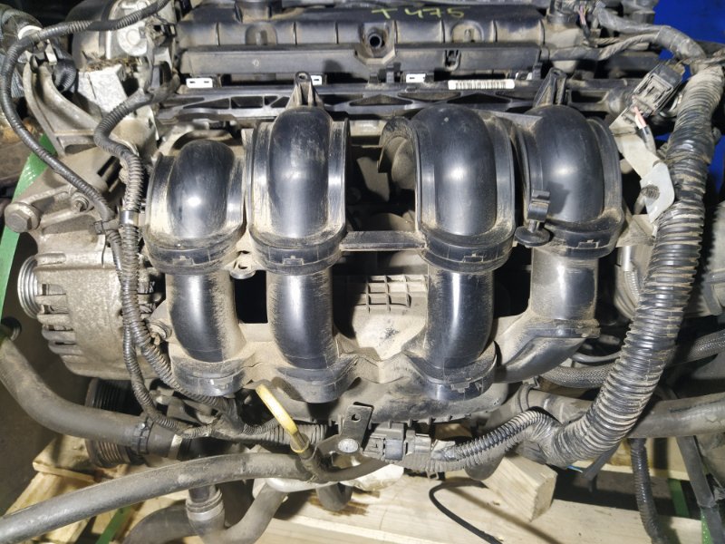 Motore Ford Duratec Ti-VCT 16V Sigma 1.6 105 CV