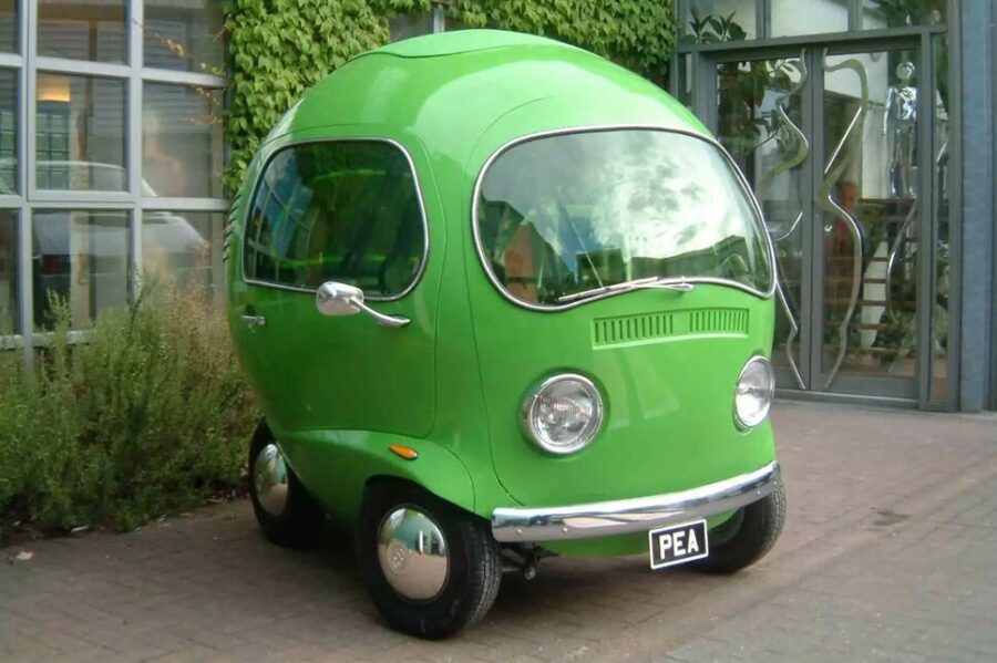 Birdseye Pea Car. Piselli verdi